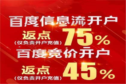 谷歌SEM案例研究：广告预算分配与优化